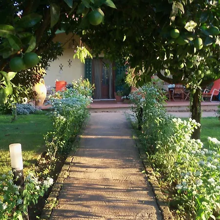 Bed & Breakfast Tavernamici Anguillara Sabazia
